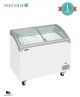 Congelador Horizontal Tapa Cristal Corredera NIC301SCEB Tefcold