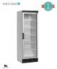 Armario Expositor Refrigerado FS1380 Tefcold