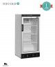 Armario Expositor de Refrigeración FS1220 Tefcold