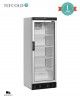 Armario Expositor de Refrigeración FS1280 Tefcold