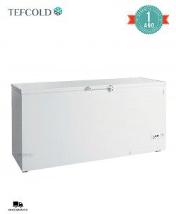 Arcón Congelador Puerta Abatible FR605 SL Tefcold