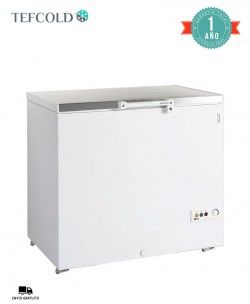 Arcón Congelador Puerta Abatible FR305S SL Tefcold