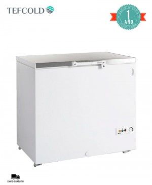 Arcón Congelador Puerta Abatible FR305S SL Tefcold
