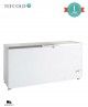 Arcón Congelador Puerta Abatible FR605S SL Tefcold
