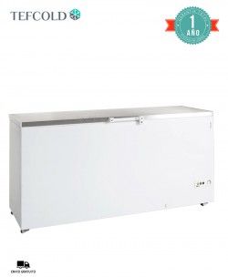 Arcón Congelador Puerta Abatible FR605S SL Tefcold