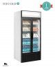 Armario Expositor de Refrigeración FSC891H Tefcold