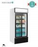 Armario Expositor de Refrigeración FSC891S Tefcold