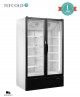 Armario Expositor de Refrigeración FSC1202H Tefcold