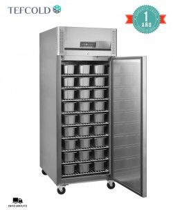 Congelador Vertical Heladería BF850I Tefcold
