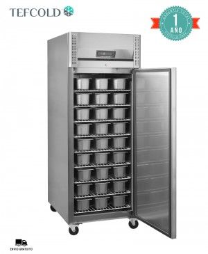 Congelador Vertical Heladería BF850I Tefcold