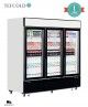 Armario Expositor 3 Puertas LGC7500 Tefcold