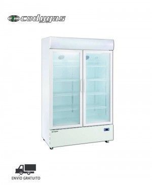Armario CODYGAS Artic 800 2P TF