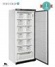 Armario Congelador Vertical UF600 C/Cestas Tefcold