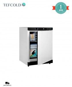Armario Congelador Vertical UF200V Tefcold