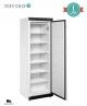 Armario Congelador Vertical UF400 Tefcold