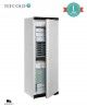 Armario Congelador Vertical UF400V Tefcold