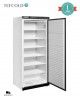 Armario Congelador Vertical UF600 Tefcold